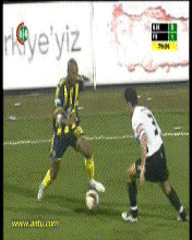anelka